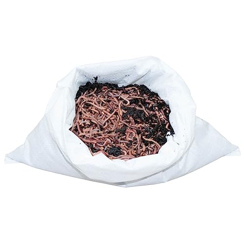 SUPERWURM 1 kg Gartenwürmer - für 100 m² Fläche - Bodenverbesserer - Die einfachste und natürlichste Methode Ihren Gartenboden auf zu lockern und zu durchlüften - Lehmboden auflockern von SUPERWURM