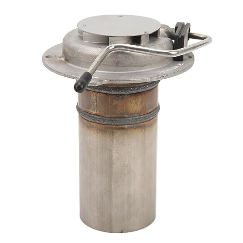 SUPYINI Parkheizungs -Verbrennungsrohr 5 KW Edelstahlverbrennungskammer Ersatz für Eberspacher Airtronic D4 D4s mit Direkter Anpassung Installation von SUPYINI