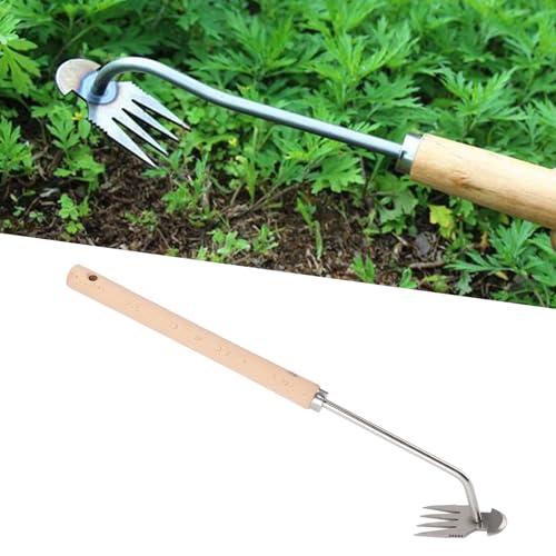 SUPYINI Unkrautziehwerkzeug, Edelstahl-Unkrautzieher, Arbeitssparender Handjäter für die Blumenpflanzung Im Hausgarten SUPYINI Unkrautziehwerkzeug, Edelstahl-Unkrautzieher, Arbeitssparender Handjäter für die Blumenpflanzung Im Hausgarten von SUPYINI