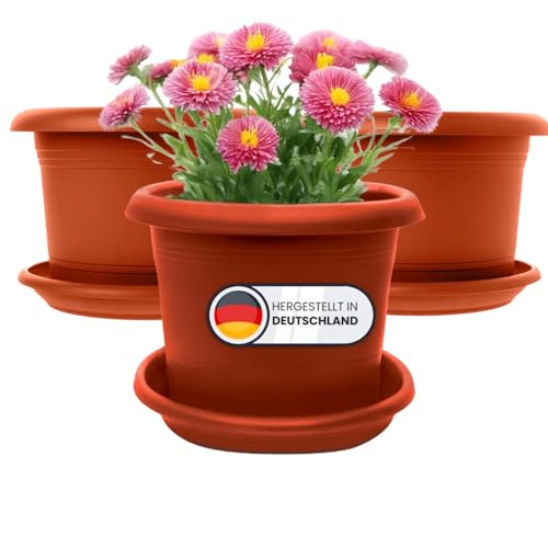 SUSTANIA 3er Set Pflanzkübel Groß Außen, 30cm Durchmesser, Terracotta Blumentopf groß außen mit Untersetzer, Blumenkübel groß aussen, Wetterfest, Made in Germany SUSTANIA 3er Set Pflanzkübel Groß Außen, 30cm Durchmesser, Terracotta Blumentopf groß außen mit Untersetzer, Blumenkübel groß aussen, Wetterfest, Made in Germany von SUSTANIA