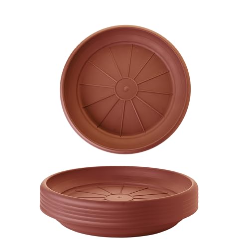 SUSTANIA 6er Set Untersetzer Ø 34 cm, für Blumentöpfe Ø 40 cm, Passgenau & Stabil, Farbe: Terracotta, Made in Germany von SUSTANIA