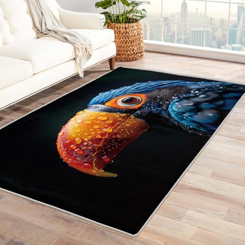 SUWALI Vogel Teppich Wohnzimmer 60x90 cm, Teppich Schlafzimmer Tier Carpet, Teppich Tukan Kurzflor Weich Flauschig rutschfest Waschbar Teppiche von SUWALI