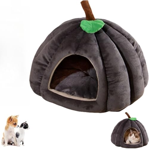 Kürbis-Katzenbett, Haustierbett, süßes Katzenbett in Kürbisform für Kätzchen und kleine Hunde Kürbis-Katzenbett, Haustierbett, süßes Katzenbett in Kürbisform für Kätzchen und kleine Hunde von SUYOIKHGMN