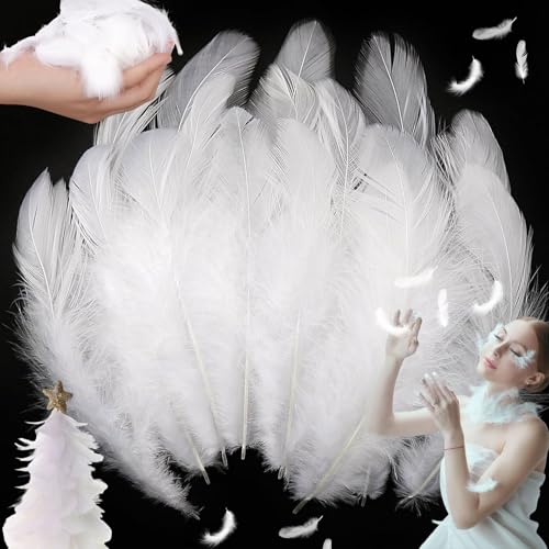 SUpoetry 200 Stück Weiß Deko Federn, DIY Feder Deko, Natürliche Fasanenfedern 8-11cm, Federn Weiss Zum Basteln Groß, Weiß Feder für Hochzeitsdekoration Zuhause Dekor von SUpoetry