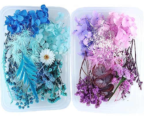 2 Stück Getrocknete Blumen, Trockenblumen Set Natur, blau getrocknete Blumen deko, Trockenblumen für die Heimdekoration Und Handwerkliche Deko, Trockenblumen Klein für Epoxidharz Deko von SUpoetry