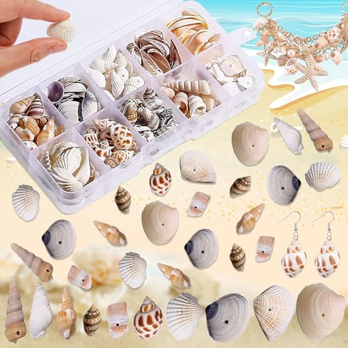 SUpoetry 150-200 Stück Natürliches Muschel set, Gefärbte Natürliche Muschelschale, Strandparty Kleine Muscheln, DIY kleine Muscheln, für Aquarienvasenfüller, Basteln, Strand-Mottoparty von SUpoetry