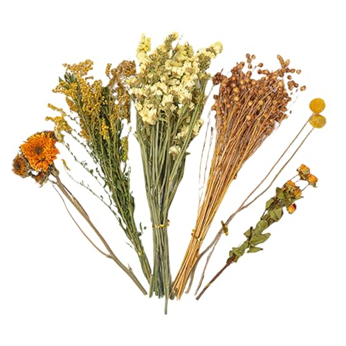 SVCEQZE Blumenhamster-Bettwäsche 80 g Hamste-r Getrocknete Flowe-r Einstreu Getrocknete F-Senker Hamste-r Kleintier-Blume Lebensraum-Dekor Natürliche Getreideohr-Blume, Lebensraum-Dekor-Set für von SVCEQZE