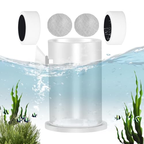 SVCEQZE Fischfutterautomat,Aquarium Fütterungs Tablett - Mit Saugnapf Fischfutter Schüssel Futterautomat SVCEQZE Fischfutterautomat,Aquarium Fütterungs Tablett - Mit Saugnapf Fischfutter Schüssel Futterautomat von SVCEQZE