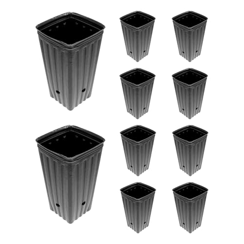 SVCEQZE Pflanztöpfe, Keimlingstassen,10x Garden Plant Nursery Cups | Garten Blumen Kindergarten mit Entwässerungslöchern für Transplantationsekulenten -Stecklinge Sämlinge SVCEQZE Pflanztöpfe, Keimlingstassen,10x Garden Plant Nursery Cups | Garten Blumen Kindergarten mit Entwässerungslöchern für Transplantationsekulenten -Stecklinge Sämlinge von SVCEQZE