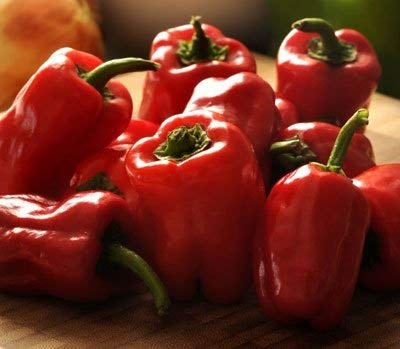 20 Samen von Cajun Belle Hybrid - Hot Peppers von SVI