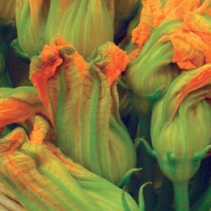 20 Zucchini Samen, für essbare Blüten - können Sie als Garnierung für hochklassige Speise zerschlagen und frittiert, gebacken, gefüllt oder in verwendet werden von SVI