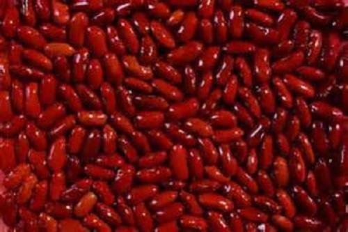 200 Dunkelrot Kidney-Bohnen-Samen neue Samen für 2017 Jahreszeit Nicht-GVO, Heirloomsamen von SVI