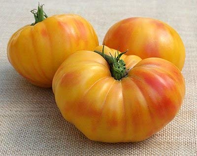 30 Samen von Oaxacas Jewel - Tomaten Bi-Color von SVI