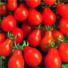 400 Samen Oragnic, Erbschaft, Rote Birne Tomaten-Samen New Samen für 2017 von SVI