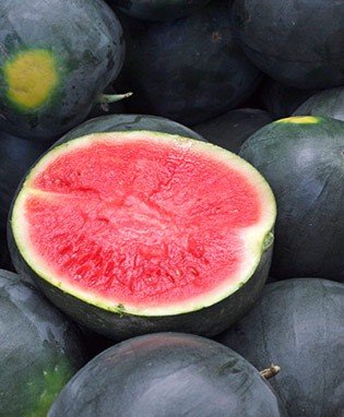 50 Black Diamond Wassermelone Samen von SVI