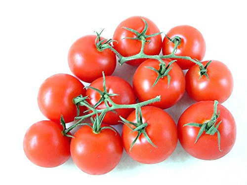 50 Süße Campari Premium-Tomatensamen Organically Grown - D 56 von SVI