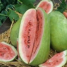 Charleston Grey Wassermelone Samen Erbstück Non GMO Süße Saftige rote guter Produzent (40 Seeds) von SVI