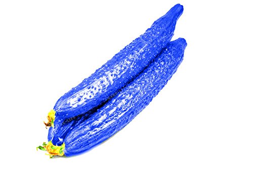 ChinaMarket Gurke Seeds100PCS Japanisch Lang Blau Gurke-Samen Gemüsesamen von SVI