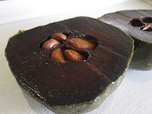 Diospyros digyna BLACK SAPOTE Persimmon Schokoladenpudding Fruit 5 Samen RARE von SVI