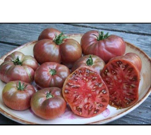 Frische Heirloom Bio Cherokee Lila Tomaten 50 Samen Ertrag Süße reiches Aroma von SVI