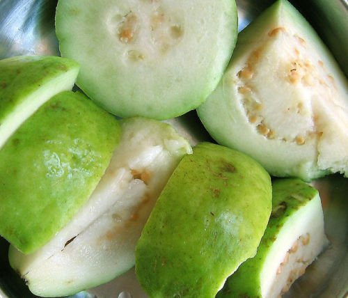 GUAVA tropische Frucht Guave exotischen Baum essbar guayaba 30 SEEDS White- von exotic_cactus_collection