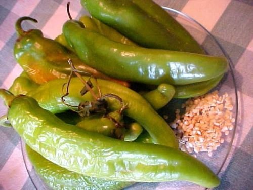 Hatch-Tal, New Mexico USA Legendary"Mild" Grüner Chili-Samen von SVI