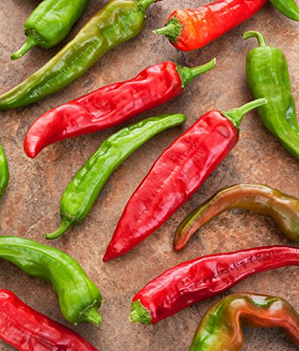NuMex Sandia Red Hot Chili Pepper Samen 50 PCS von SVI