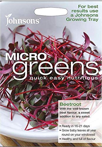 Portal Cool Johnsons - Salat - Microgreen Rote Bete (Stierblut) - 800 Samen von SVI