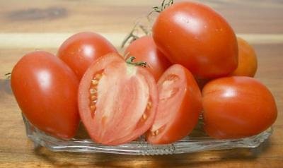 Tomatensamen 200 AMISH PASTE Gemüsesamen von SVI