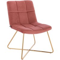 Lynn Loungesessel Cocktailsessel Clubsessel Polsterstuhl ohne Armlehnen Goldene Beine Samt-Polster Altrosa - Svita Lynn Loungesessel Cocktailsessel Clubsessel Polsterstuhl ohne Armlehnen Goldene Beine Samt-Polster Altrosa - Svita von SVITA