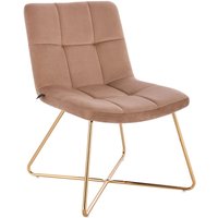 Lynn Loungesessel Cocktailsessel Clubsessel Polsterstuhl ohne Armlehnen Goldene Beine Samt-Polster Taupe - Svita Lynn Loungesessel Cocktailsessel Clubsessel Polsterstuhl ohne Armlehnen Goldene Beine Samt-Polster Taupe - Svita von SVITA