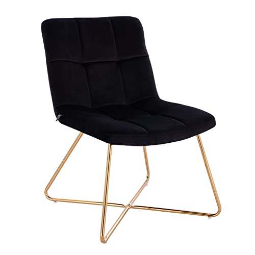 SVITA Lynn Sessel Flauschig Stuhl Gemütlich Loungesessel Cocktailsessel Clubsessel Polsterstuhl ohne Armlehnen Goldene Beine Samt-Polster Schwarz von SVITA