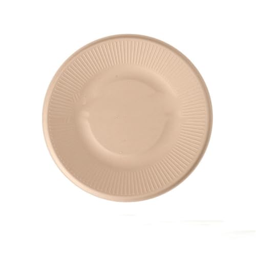SVKVBNLNGK 20/40 Stück Einweg-Papierschalen aus natürlichem Zuckerrohrpapier, Suppenschalen, Desserts, Obstsalate, Lebensmittelbehälter, Party-Teller-Set Lunch-Box(Sugarcane pulp Plate,20pcs) von SVKVBNLNGK