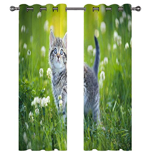 Gardinen Kinderzimmer Blickdichter Vorhang 200X160Cm 2 Stücke 3D Gras Tier Katze Muster Verdunklungsvorhänge Schlafzimmer Wohnzimmer Dekoration Ösenschal Kinder Thermovorhang von SVTUSR
