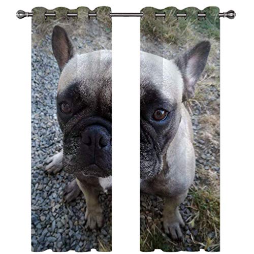 Gardinen Kinderzimmer Blickdichter Vorhang 264X214Cm 2 Stücke 3D Haustier Hund Muster Verdunklungsvorhänge Schlafzimmer Wohnzimmer Dekoration Ösenschal Kinder Thermovorhang von SVTUSR