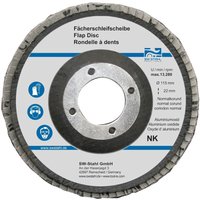 SW-Stahl 82312L Fächerschleifscheibe I Schleifscheiben 115mm für Winkelschleifer I NK120 I 10 Stück SW-Stahl 82312L Fächerschleifscheibe I Schleifscheiben 115mm für Winkelschleifer I NK120 I 10 Stück von SW-STAHL