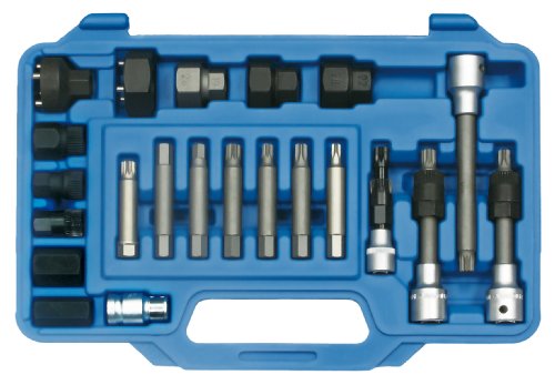 SW-Stahl 05275L Bitsatz für Freilaufriemenscheibe, 1/2, 22-teilig I Freilaufriemenscheibe Werkzeug l I Freilauf Werkzeug Set I Lichtmaschinen Werkzeugkasten I Generator Werkzeugsatz SW-Stahl 05275L Bitsatz für Freilaufriemenscheibe, 1/2, 22-teilig I Freilaufriemenscheibe Werkzeug l I Freilauf Werkzeug Set I Lichtmaschinen Werkzeugkasten I Generator Werkzeugsatz von SW-Stahl