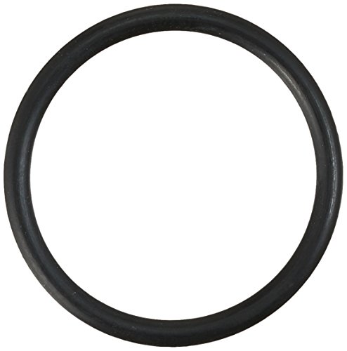 SW-Stahl S3279-22 O-Ring Lagerschild 18,3x1,7" von SW-Stahl