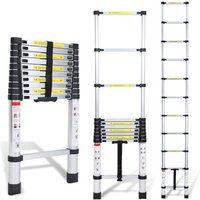 Swanew - Teleskopleiter Alu Leichtgewicht Rutschfester Anlegeleiter 3,8m Silber Multifunktionsleiter Mehrzweckleiter Ausziehbare Leiter 15 Stufe von SWANEW