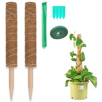 2x Pflanzstab Pflanztunnel Kokos Moosstab Pflanzenstütze mit Kokos Moos für Pflanzen 40cm - Swanew von SWANEW
