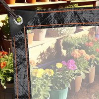 Swanew - Transparente Plane wasserdicht, Verschiedene Größen, Abdeckplane mit Ösen für den Garten, frostsicher, regenfest, pe - 200 × 100 cm von SWANEW
