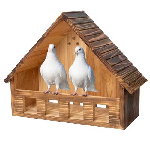 SWANGSA Trauertaube Nistkasten aus kohlensäurehaltigem Zedernholz für Tauben und andere kleine Vögel im Freien von SWANGSA