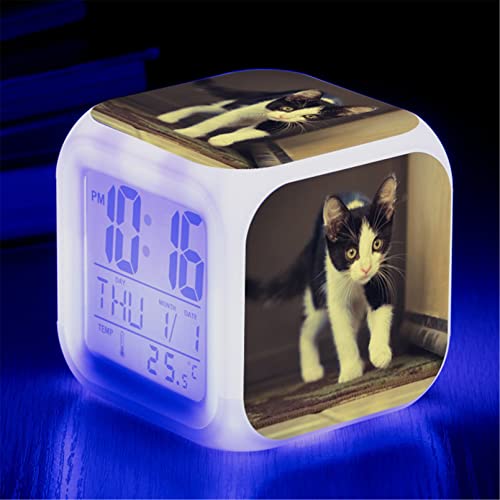Katze Wecker, Wecker Digital mit LED Nachtlicht Beleuchteter Nachttischuhr Kindertagsgeschen für KinderJungen und Mädchen (C) von SWECOMZE