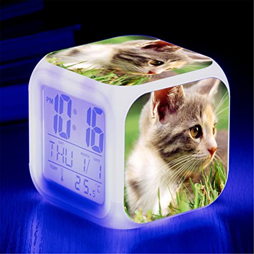 Katze Wecker, Wecker Digital mit LED Nachtlicht Beleuchteter Nachttischuhr Kindertagsgeschen für KinderJungen und Mädchen (F) von SWECOMZE