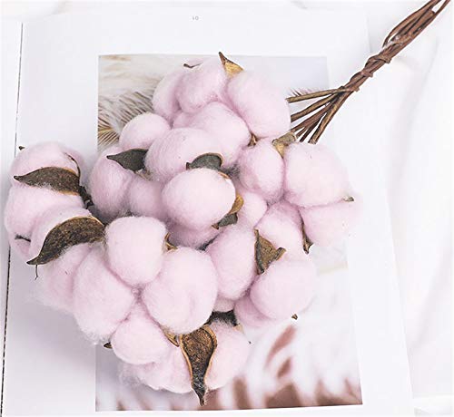 SWECOMZE 10 Köpfe Echter Baumwoll-Zweig Natürlich Getrocknete Blumen getrocknete Bauernhaus Stil für Dekoration Wohnaccessoires & Deko (Helles Lila) von SWECOMZE