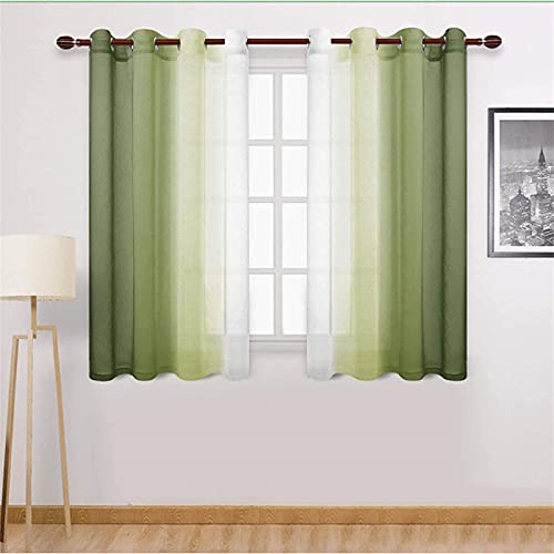 SWECOMZE 2 Stück Gardinen Vertikal Farbverlauf Transparent mit Ösen,Voile Vorhänge,Lichtdurchlässig Einfarbig für Fenster Wohnzimmer Schlafzimmer Moderne und Elegante Gardine (Grün,W1.32m x H1.6 m) von SWECOMZE