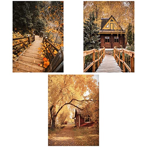 SWECOMZE 3er Premium Poster Set - Herbstlicher Wald Kürbis, Wandposter Posterset,Ohne Rahmen Stilvolle Wand Deko Bild für Schlafzimmer und Wohnzimmer (A,30 x 40 cm) von SWECOMZE