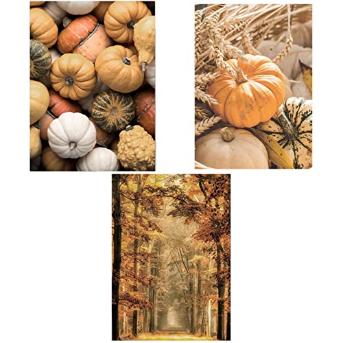 SWECOMZE 3er Premium Poster Set - Herbstlicher Wald Kürbis, Wandposter Posterset,Ohne Rahmen Stilvolle Wand Deko Bild für Schlafzimmer und Wohnzimmer (C,20 x 30 cm) von SWECOMZE