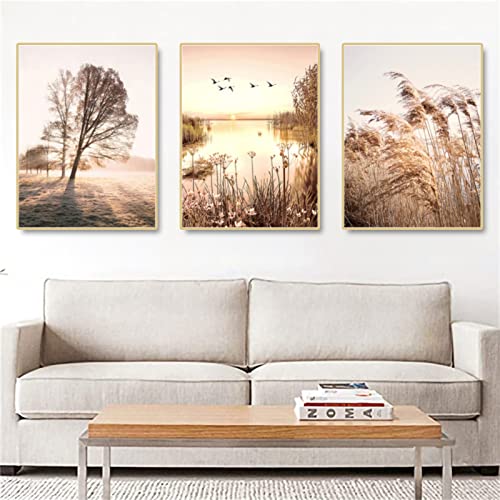 SWECOMZE 3er Set Premium Poster Set, See Gras Beige Pampas Bilder, Moderne Wandbilder für Wohnzimmer und Schlafzimmer - ohne Bilderrahmen (C,60x80cm) von SWECOMZE