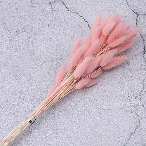 SWECOMZE 60 Stück Getrocknetes Pampasgras, Trockenblumen Deko, Getrocknete Blumen für Fotografie Hochzeit Inneneinrichtungen (Rosa) von SWECOMZE